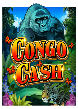 วิธีเล่น joker สล็อต 91 ให้ได้กำไรอย่างมืออาชีพ